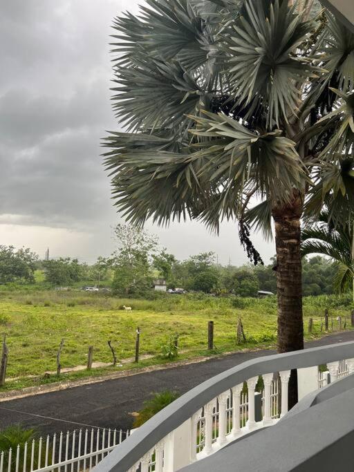 Mayaguez Spacious 3 Bedroom Villa Exterior photo